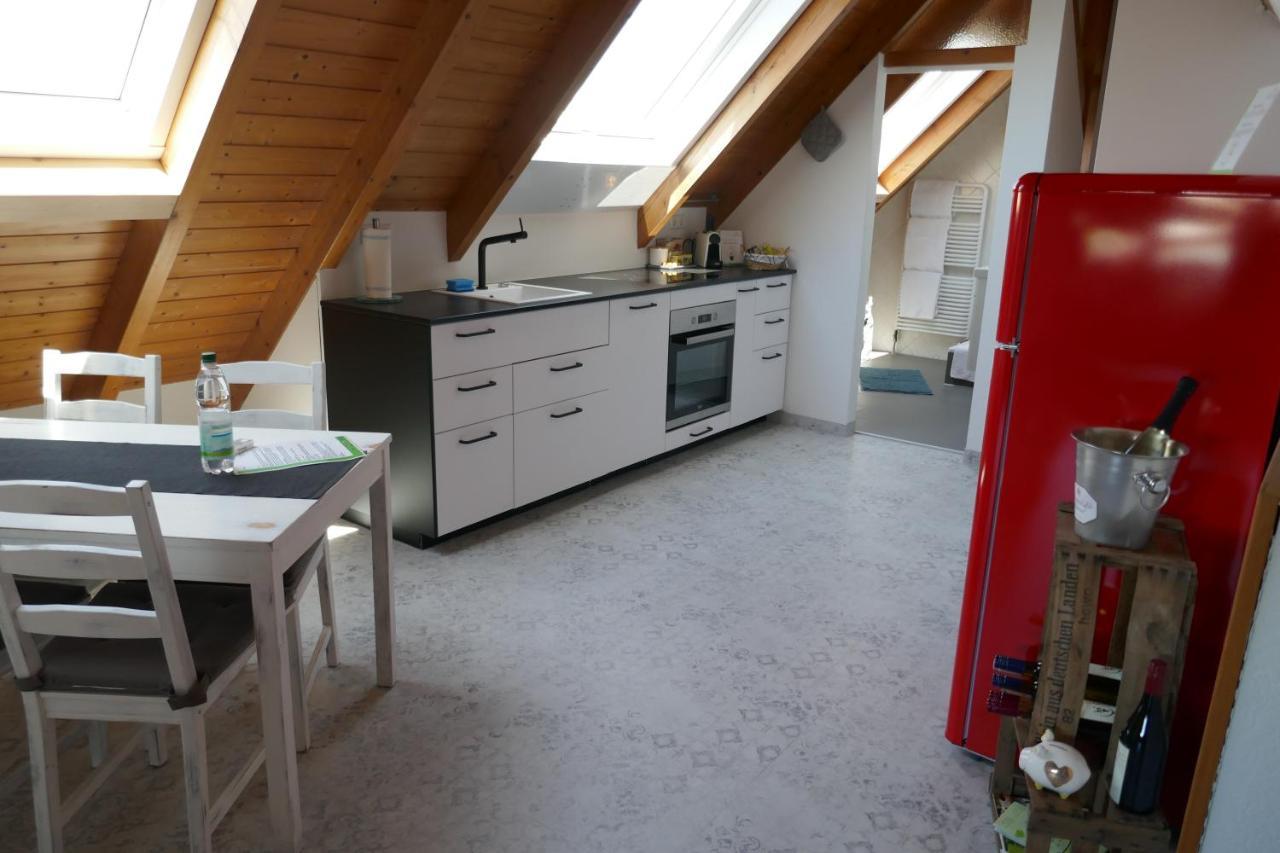 Moderne 2 Zi - Fewo Weinbergliebe Am Tuniberg Zwischen Freiburg Und Frankreich Merdingen Exterior foto